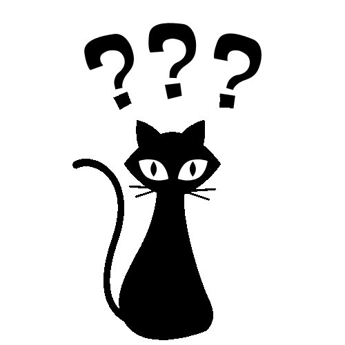 Critical thinking cat has some frequently asked questions.